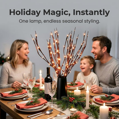 DK177 Led Branch Light Battery Operated Lighted Branch Vase Filler Willow Tree Artificial Little Twig Power Brown 30 Inch 20 LED for Indoor Romantic, Multicolor Light