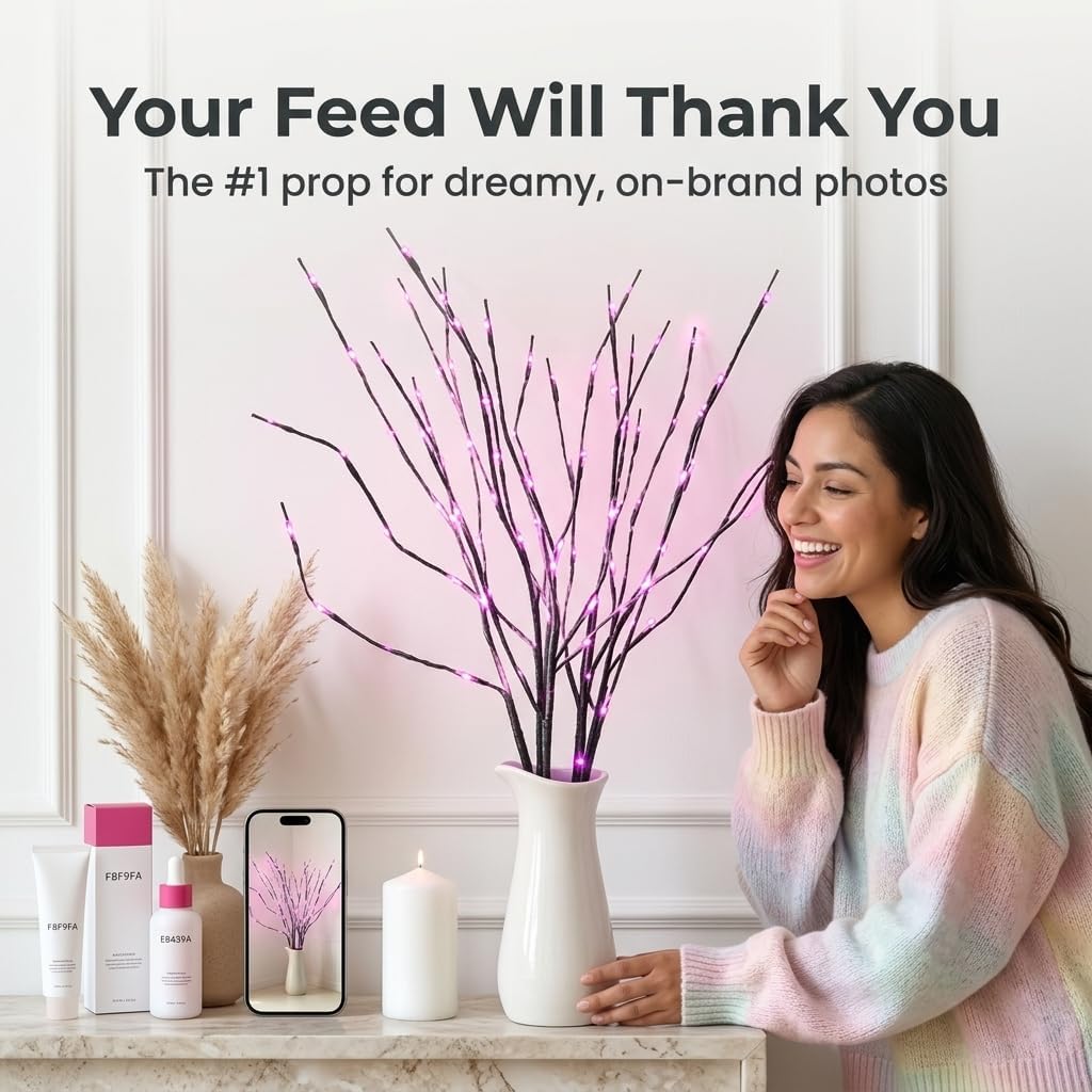 DK177 Led Branch Light Battery Operated Lighted Branch Vase Filler Willow Tree Artificial Little Twig Power Brown 30 Inch 20 LED for Indoor Romantic, Multicolor Light