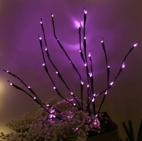 DK177 Led Branch Light Battery Operated Lighted Branch Vase Filler Willow Tree Artificial Little Twig Power Brown 30 Inch 20 LED for Indoor Romantic, Multicolor Light
