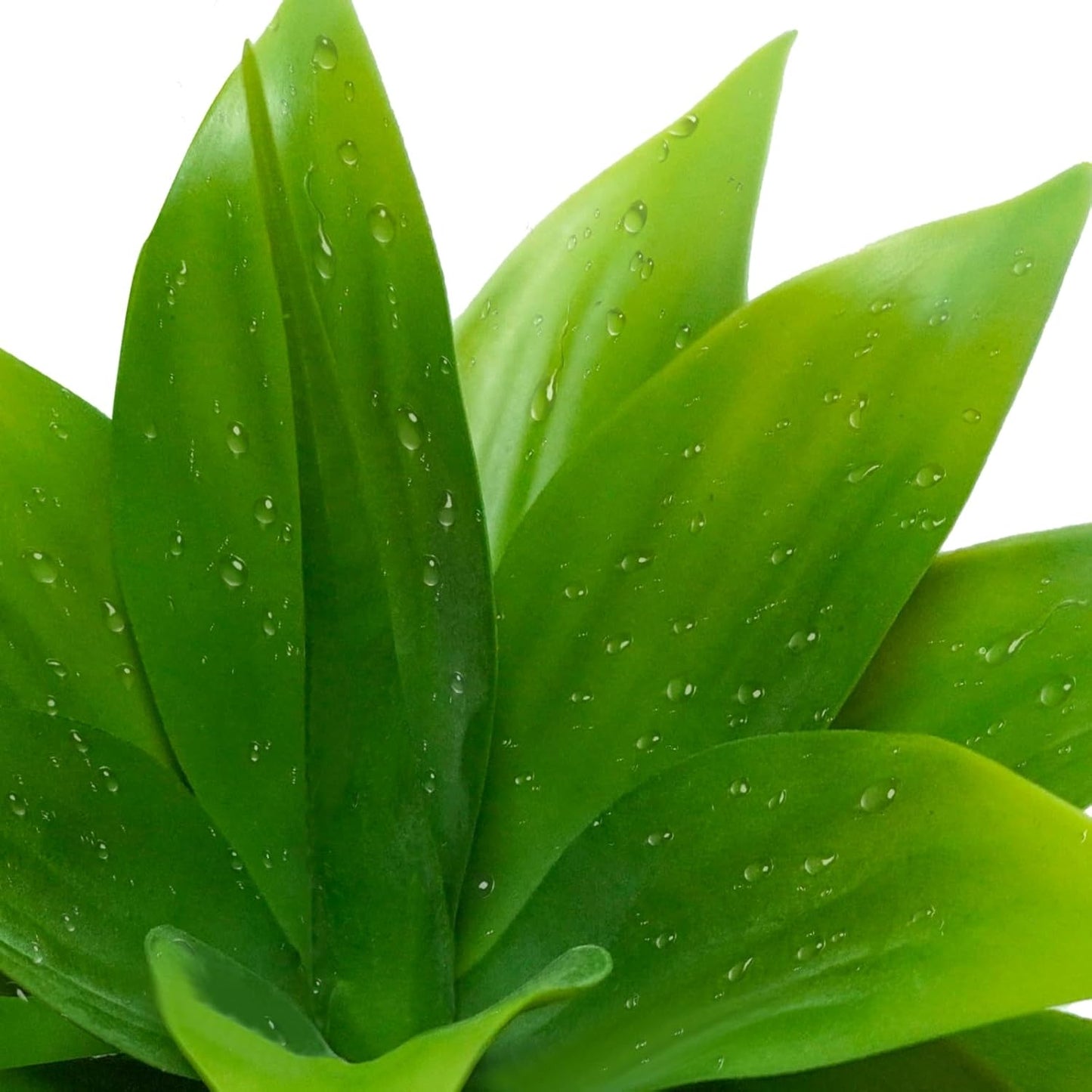 Succulents Plants Artificial, Large Fake Succulents Unpotted Flowers Pineapple Grass Greenery Plants for Home Outdoor Wedding Floral Arrangement Green