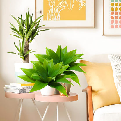 Succulents Plants Artificial, Large Fake Succulents Unpotted Flowers Pineapple Grass Greenery Plants for Home Outdoor Wedding Floral Arrangement Green