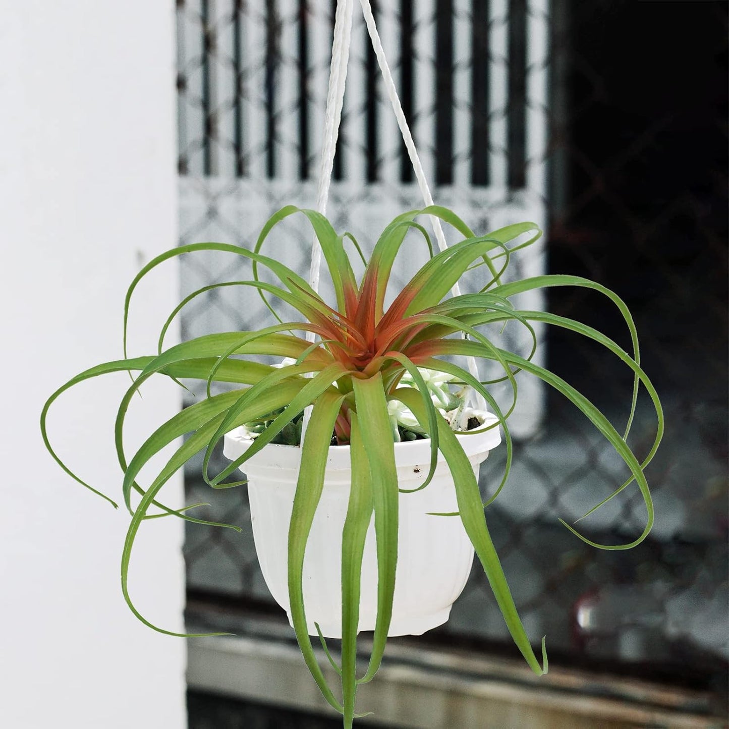 Succulents Plants Artificial, Large Fake Succulents Unpotted Flowers Pineapple Grass Greenery Plants for Home Outdoor Wedding Floral Arrangement Green