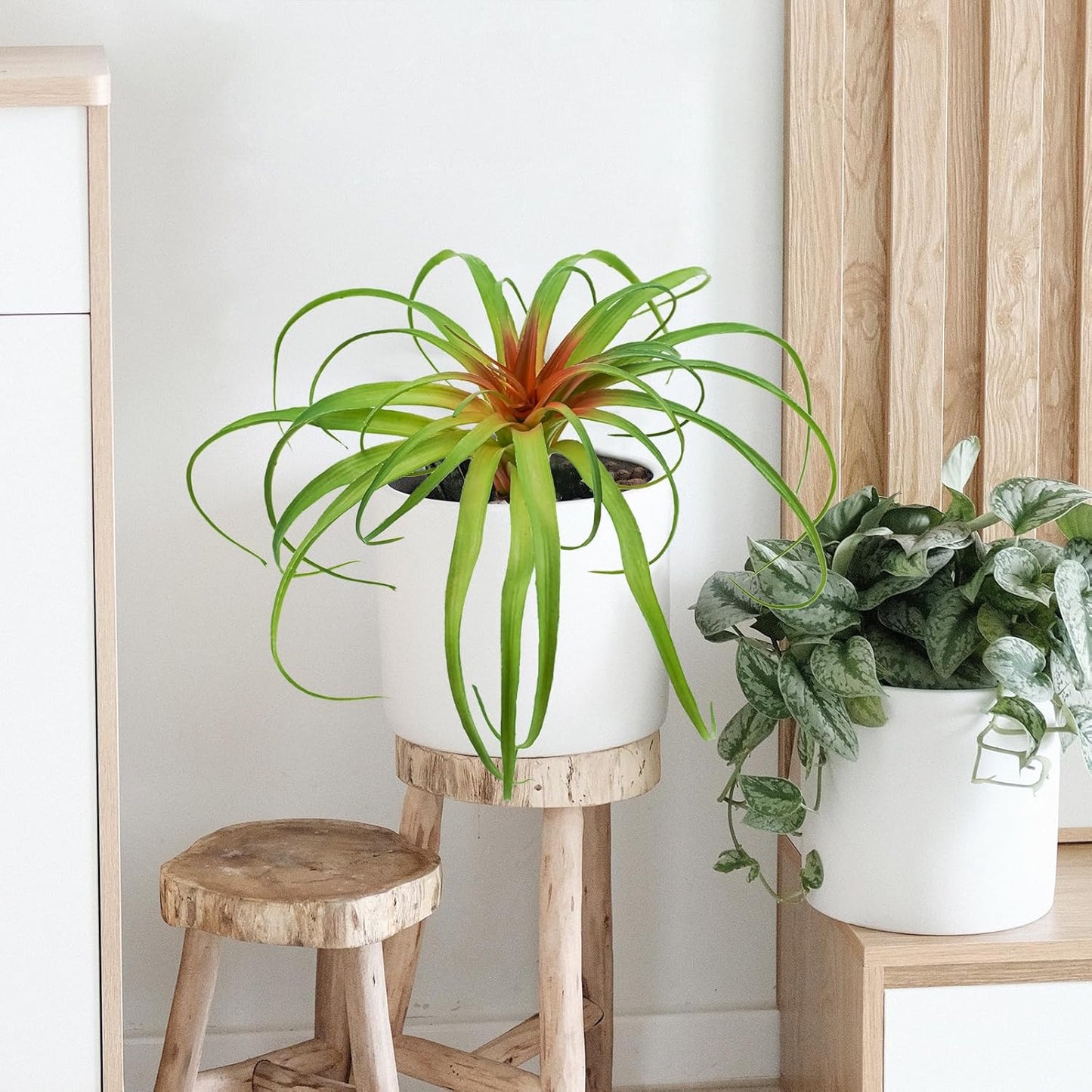 Succulents Plants Artificial, Large Fake Succulents Unpotted Flowers Pineapple Grass Greenery Plants for Home Outdoor Wedding Floral Arrangement Green