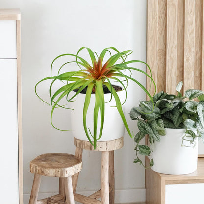 Succulents Plants Artificial, Large Fake Succulents Unpotted Flowers Pineapple Grass Greenery Plants for Home Outdoor Wedding Floral Arrangement Green