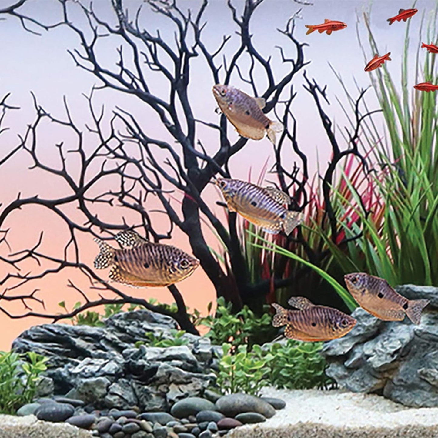 Dark River Brown Manzanita Branch 22-inch Tall with Weighted Base | Tree Branches Molded Aquarium Decor Decoration Fake Artificial Fish Tank Ornament for Freshwater or Saltwater (7394)