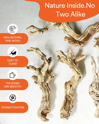 3Pcs Bearded Dragon Wood Branch, Large 14-17 Inch Reptile Wood Logs for ClimbingTerrarium Habitat Decor for Geckos, Chameleons, Frogs & Spiders