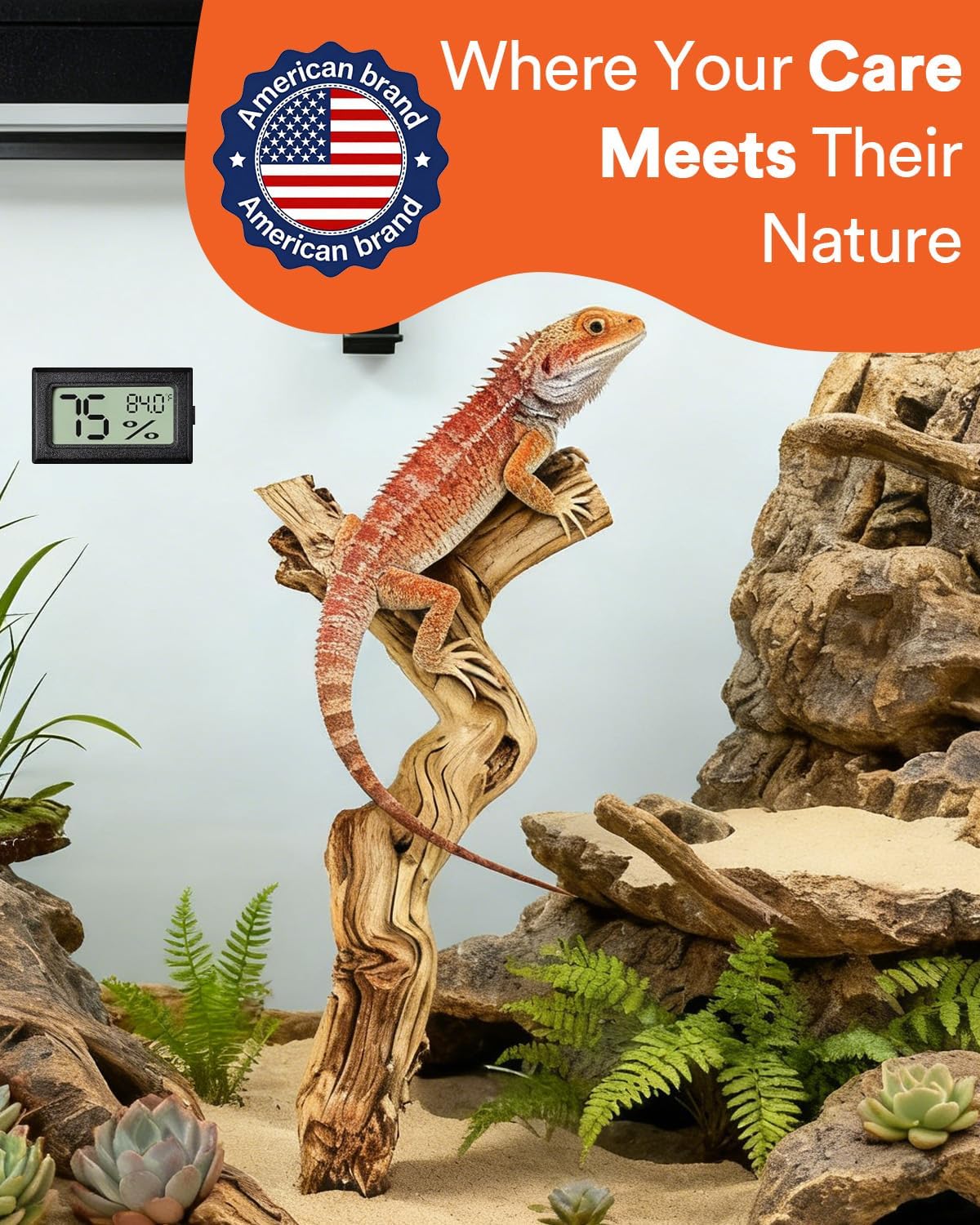 3Pcs Bearded Dragon Wood Branch, Large 14-17 Inch Reptile Wood Logs for ClimbingTerrarium Habitat Decor for Geckos, Chameleons, Frogs & Spiders
