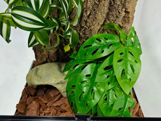 Reptile Artificial Plants Terrarium Decor, Fake Desert Plants Bearded Dragon Tank Decorations Accessories fit Crested Gecko Leopard Lizard Chameleon Ball Python Snake Frog - Tillandsia