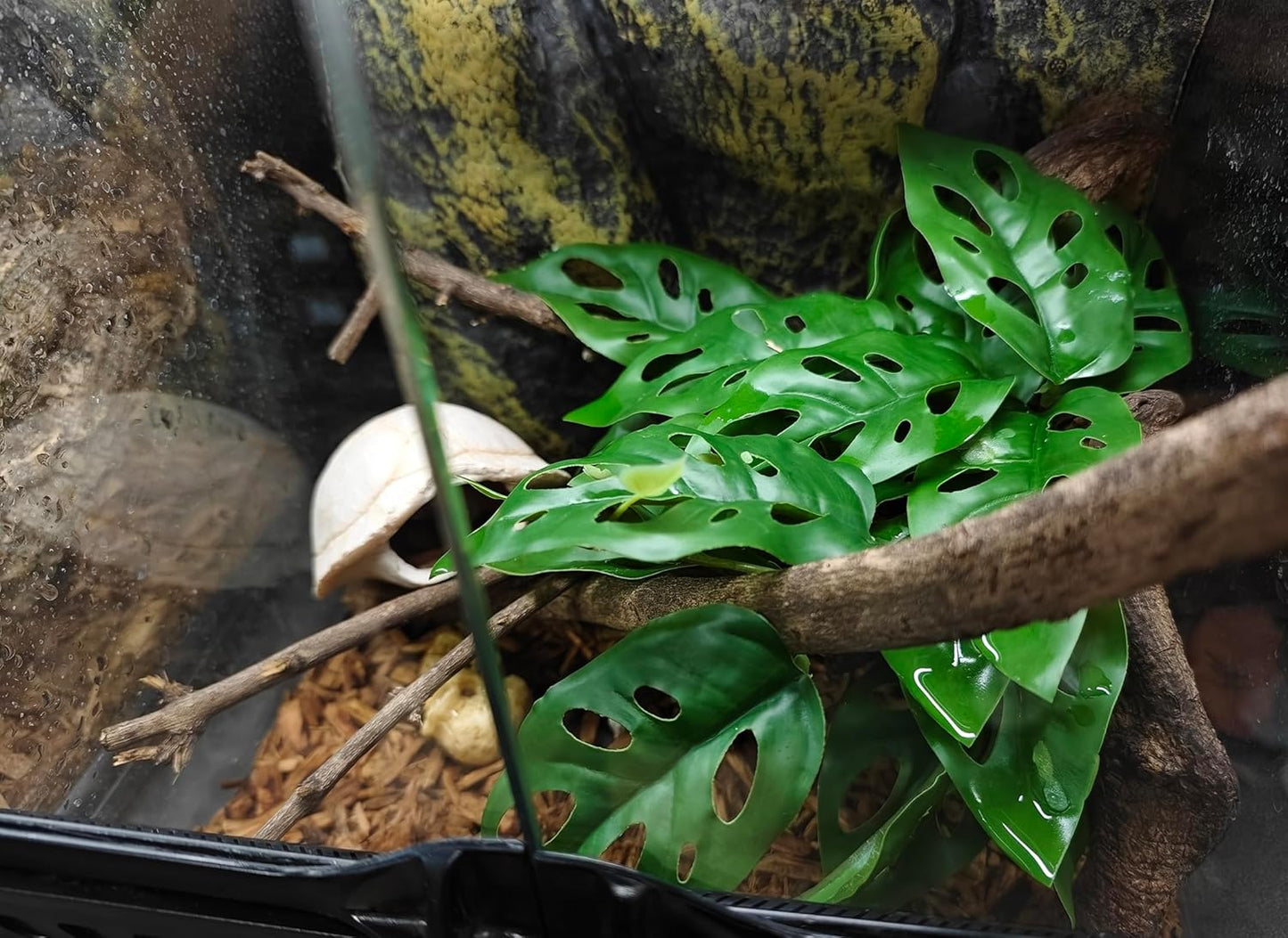 Reptile Artificial Plants Terrarium Decor, Fake Desert Plants Bearded Dragon Tank Decorations Accessories fit Crested Gecko Leopard Lizard Chameleon Ball Python Snake Frog - Tillandsia