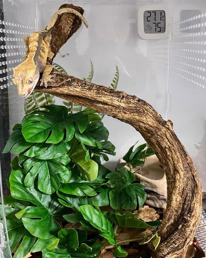 Reptile Artificial Plants Terrarium Decor, Fake Desert Plants Bearded Dragon Tank Decorations Accessories fit Crested Gecko Leopard Lizard Chameleon Ball Python Snake Frog - Tillandsia