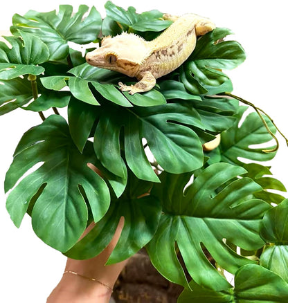 Reptile Artificial Plants Terrarium Decor, Fake Desert Plants Bearded Dragon Tank Decorations Accessories fit Crested Gecko Leopard Lizard Chameleon Ball Python Snake Frog - Tillandsia