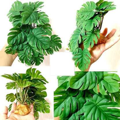 Reptile Artificial Plants Terrarium Decor, Fake Desert Plants Bearded Dragon Tank Decorations Accessories fit Crested Gecko Leopard Lizard Chameleon Ball Python Snake Frog - Tillandsia