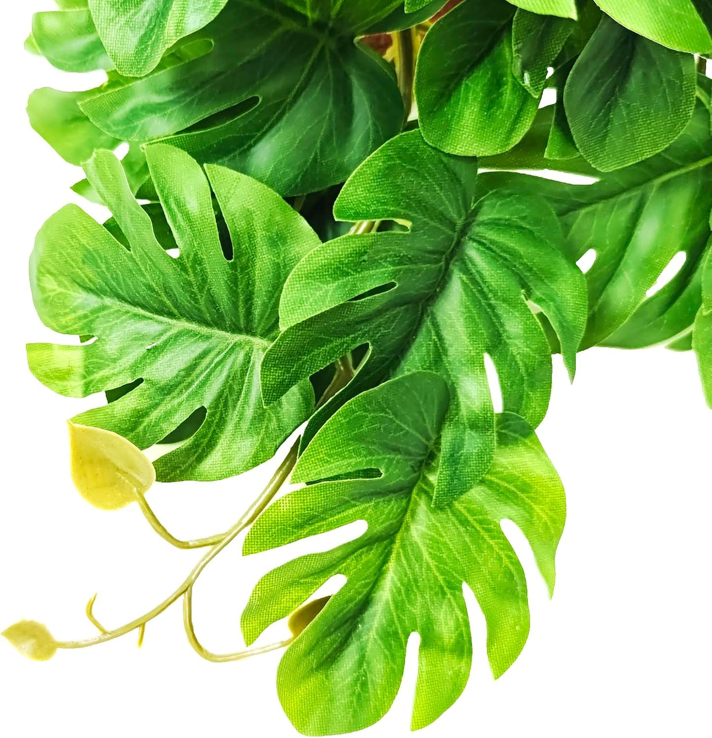 Reptile Artificial Plants Terrarium Decor, Fake Desert Plants Bearded Dragon Tank Decorations Accessories fit Crested Gecko Leopard Lizard Chameleon Ball Python Snake Frog - Tillandsia