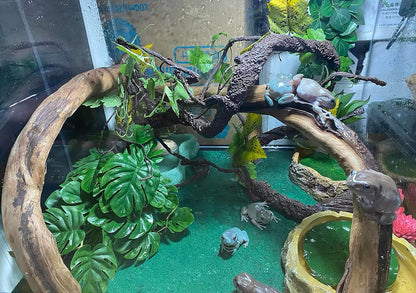 Reptile Artificial Plants Terrarium Decor, Fake Desert Plants Bearded Dragon Tank Decorations Accessories fit Crested Gecko Leopard Lizard Chameleon Ball Python Snake Frog - Tillandsia