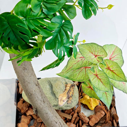 Reptile Artificial Plants for Terrarium Decor, Amphibian Habitat Decorations Bearded Dragon Tank Accessories fit Crested Gecko Leopard Lizard Chameleon Snake Frog - Fake Pink Heuchera