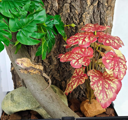 Reptile Artificial Plants for Terrarium Decor, Amphibian Habitat Decorations Bearded Dragon Tank Accessories fit Crested Gecko Leopard Lizard Chameleon Snake Frog - Fake Pink Heuchera