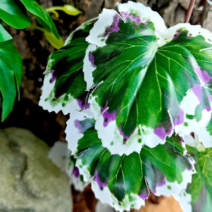 Reptile Artificial Plants for Terrarium Decor, Amphibian Habitat Decorations Bearded Dragon Tank Accessories fit Crested Gecko Leopard Lizard Chameleon Snake Frog - Fake Pink Heuchera