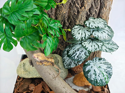 Reptile Artificial Plants for Terrarium Decor, Amphibian Habitat Decorations Bearded Dragon Tank Accessories fit Crested Gecko Leopard Lizard Chameleon Snake Frog - Fake Pink Heuchera