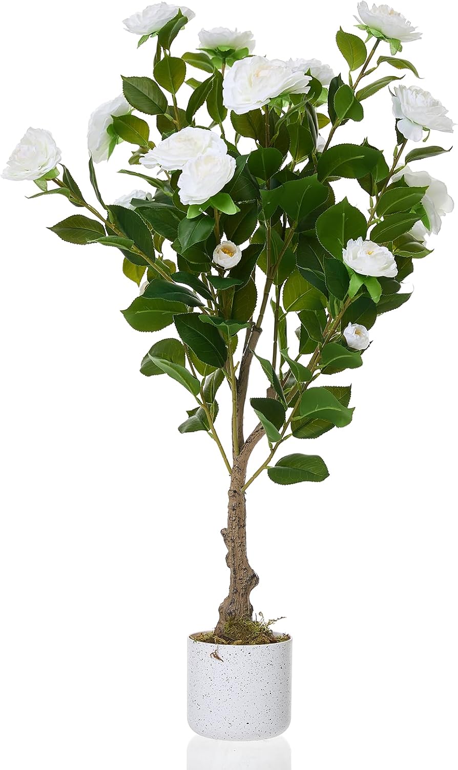 3FT Artificial Cedar Topiary Trees Set of 2, with Planter - Colors A