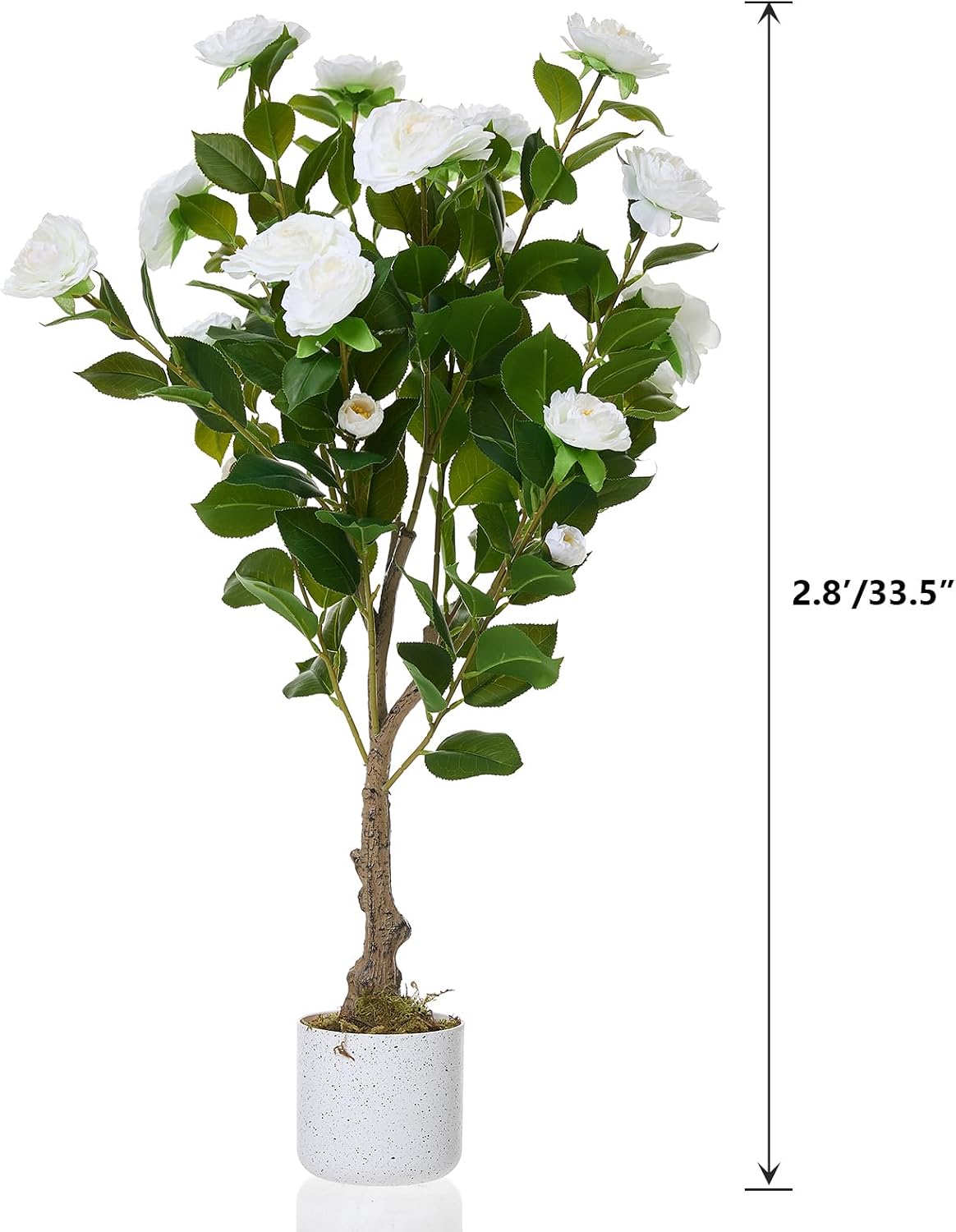 3FT Artificial Cedar Topiary Trees Set of 2, with Planter - Colors A