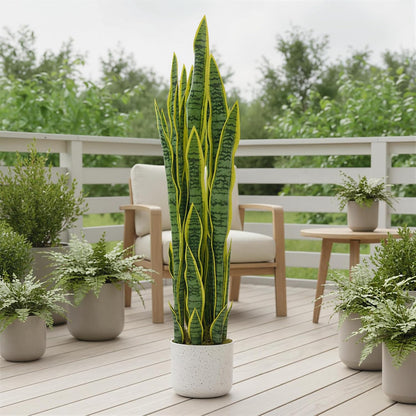 3FT Artificial Cedar Topiary Trees Set of 2, with Planter - Colors A