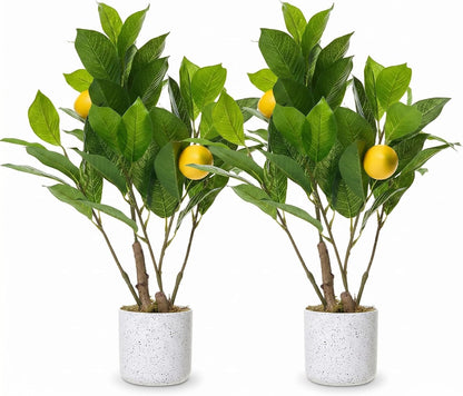 3FT Artificial Cedar Topiary Trees Set of 2, with Planter - Colors A