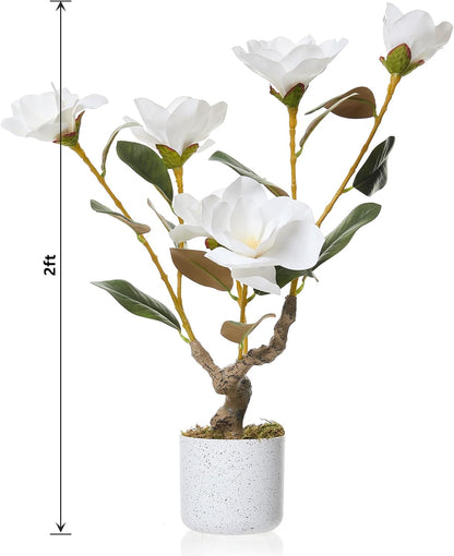 3FT Artificial Cedar Topiary Trees Set of 2, with Planter - Colors A