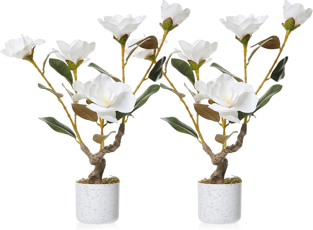 3FT Artificial Cedar Topiary Trees Set of 2, with Planter - Colors A