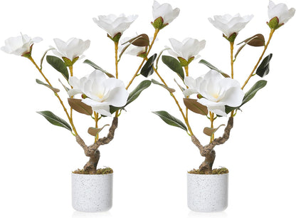3FT Artificial Cedar Topiary Trees Set of 2, with Planter - Colors A