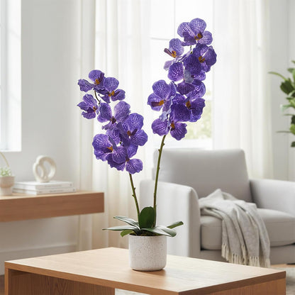 3FT Artificial Cedar Topiary Trees Set of 2, with Planter - Colors A