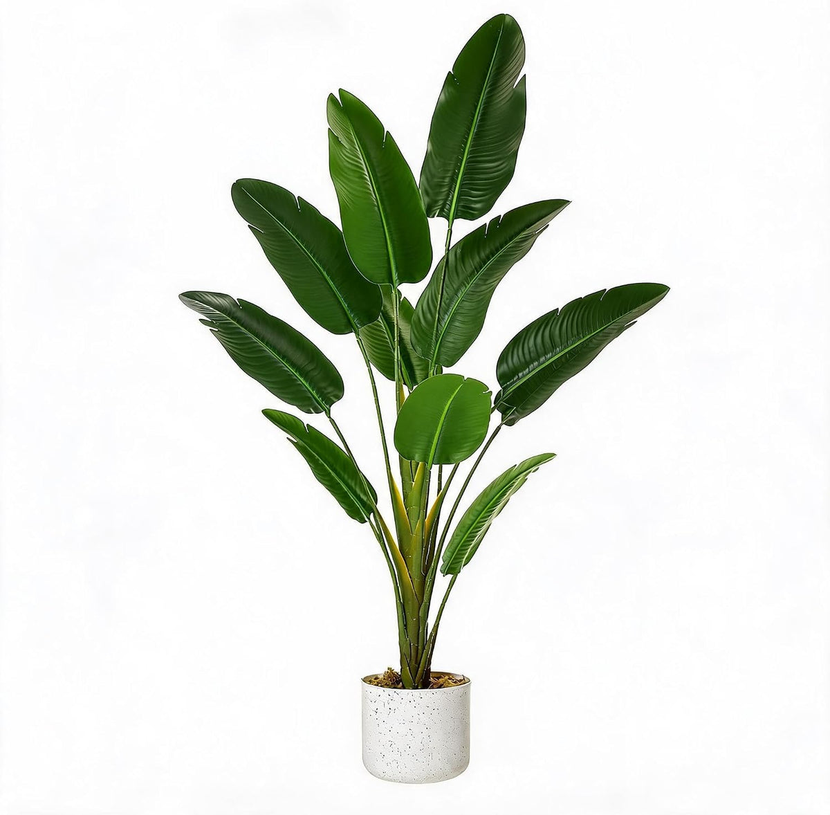 3FT Artificial Cedar Topiary Trees Set of 2, with Planter - Colors A