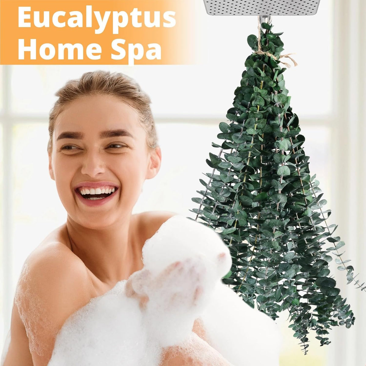 Dried Eucalyptus for Shower Hanging Real Preserved Eucalyptus Stems