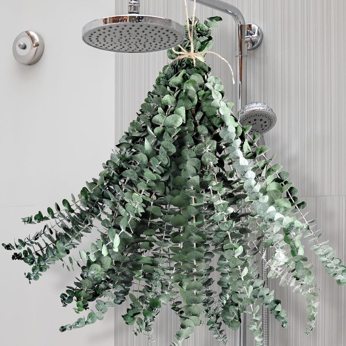 Dried Eucalyptus for Shower Hanging Real Preserved Eucalyptus Stems
