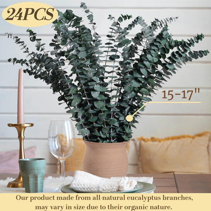 Dried Eucalyptus for Shower Hanging Real Preserved Eucalyptus Stems