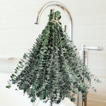 Dried Eucalyptus for Shower Hanging Real Preserved Eucalyptus Stems