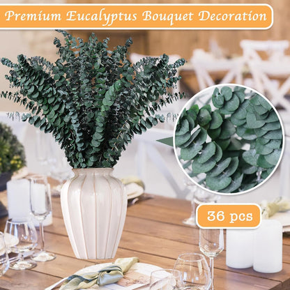 Dried Eucalyptus for Shower Hanging Real Preserved Eucalyptus Stems