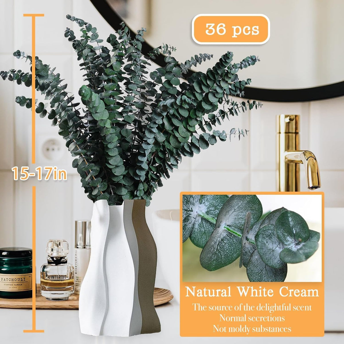 Dried Eucalyptus for Shower Hanging Real Preserved Eucalyptus Stems