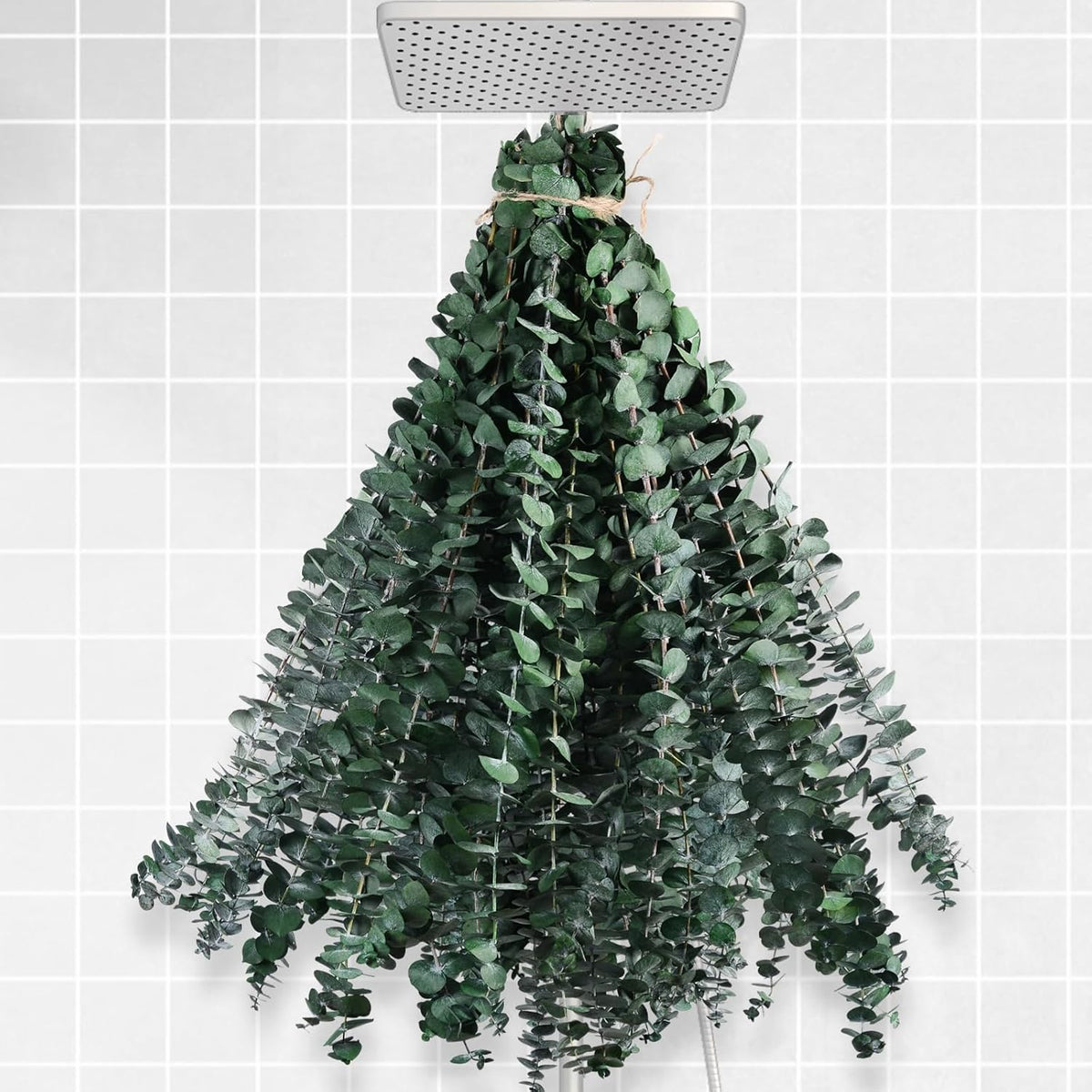 Dried Eucalyptus for Shower Hanging Real Preserved Eucalyptus Stems