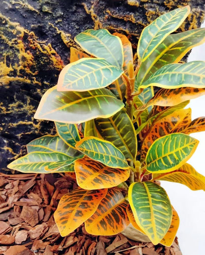 Reptile Plants Terrarium Decor,Reptile Tank Decorations | Artificial Leaves for Reptile Enclosure，Amphibian Habitat Decor with Base for Bearded Dragon Gecko Lizard Snake-Gradient