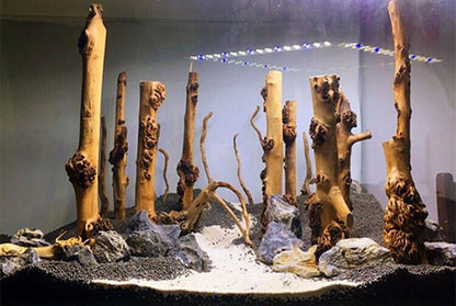 Reptile Décor Natural Forest Branch Terrarium Wood Aquarium Ornament, 4 Pack