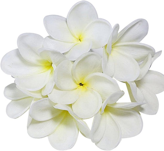 Bunch of 10 PU Real Touch Lifelike Artificial Plumeria Frangipani Flower Bouquets Fake Wedding Cake Home Party Decoration (White)