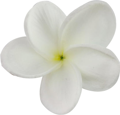 Bunch of 10 PU Real Touch Lifelike Artificial Plumeria Frangipani Flower Bouquets Fake Wedding Cake Home Party Decoration (White)