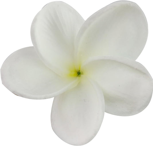 Bunch of 10 PU Real Touch Lifelike Artificial Plumeria Frangipani Flower Bouquets Fake Wedding Cake Home Party Decoration (White)