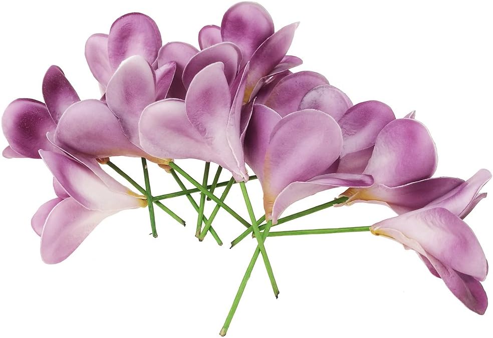 Bunch of 10 PU Real Touch Lifelike Artificial Plumeria Frangipani Flower Bouquets Fake Wedding Cake Home Party Decoration (White)