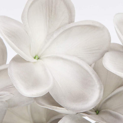 Bunch of 10 PU Real Touch Lifelike Artificial Plumeria Frangipani Flower Bouquets Fake Wedding Cake Home Party Decoration (White)