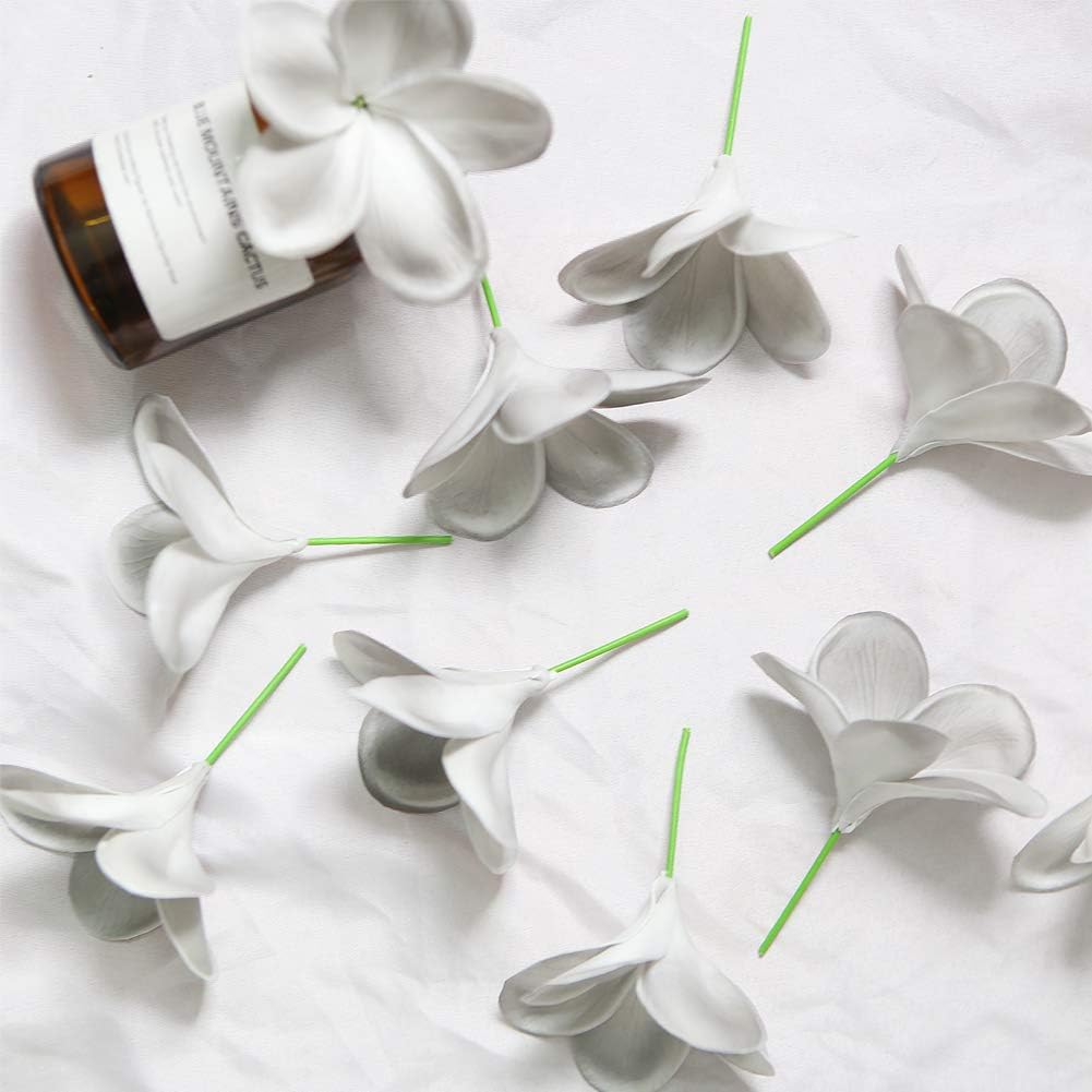 Bunch of 10 PU Real Touch Lifelike Artificial Plumeria Frangipani Flower Bouquets Fake Wedding Cake Home Party Decoration (White)