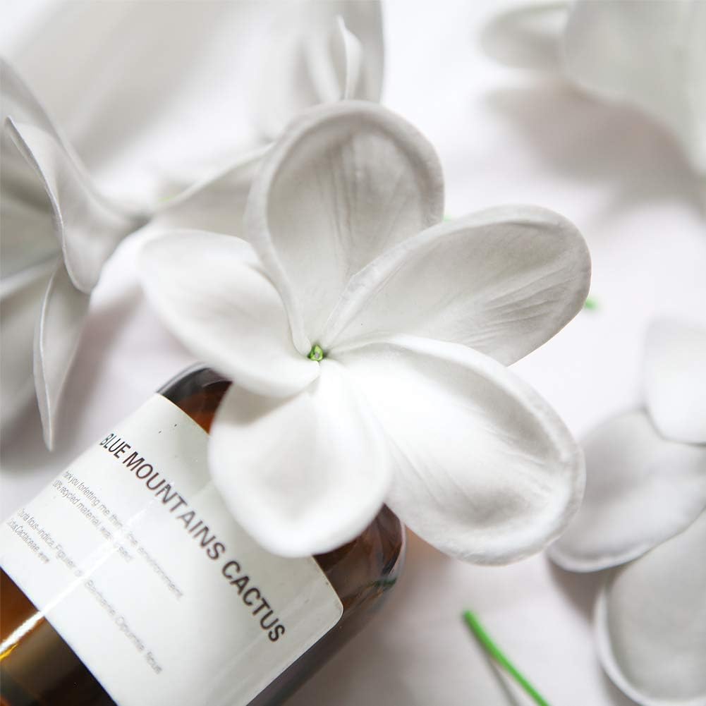 Bunch of 10 PU Real Touch Lifelike Artificial Plumeria Frangipani Flower Bouquets Fake Wedding Cake Home Party Decoration (White)