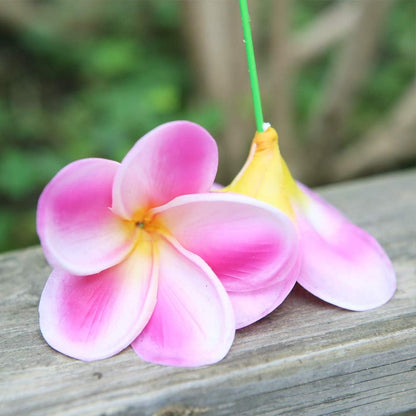Bunch of 10 PU Real Touch Lifelike Artificial Plumeria Frangipani Flower Bouquets Fake Wedding Cake Home Party Decoration (White)