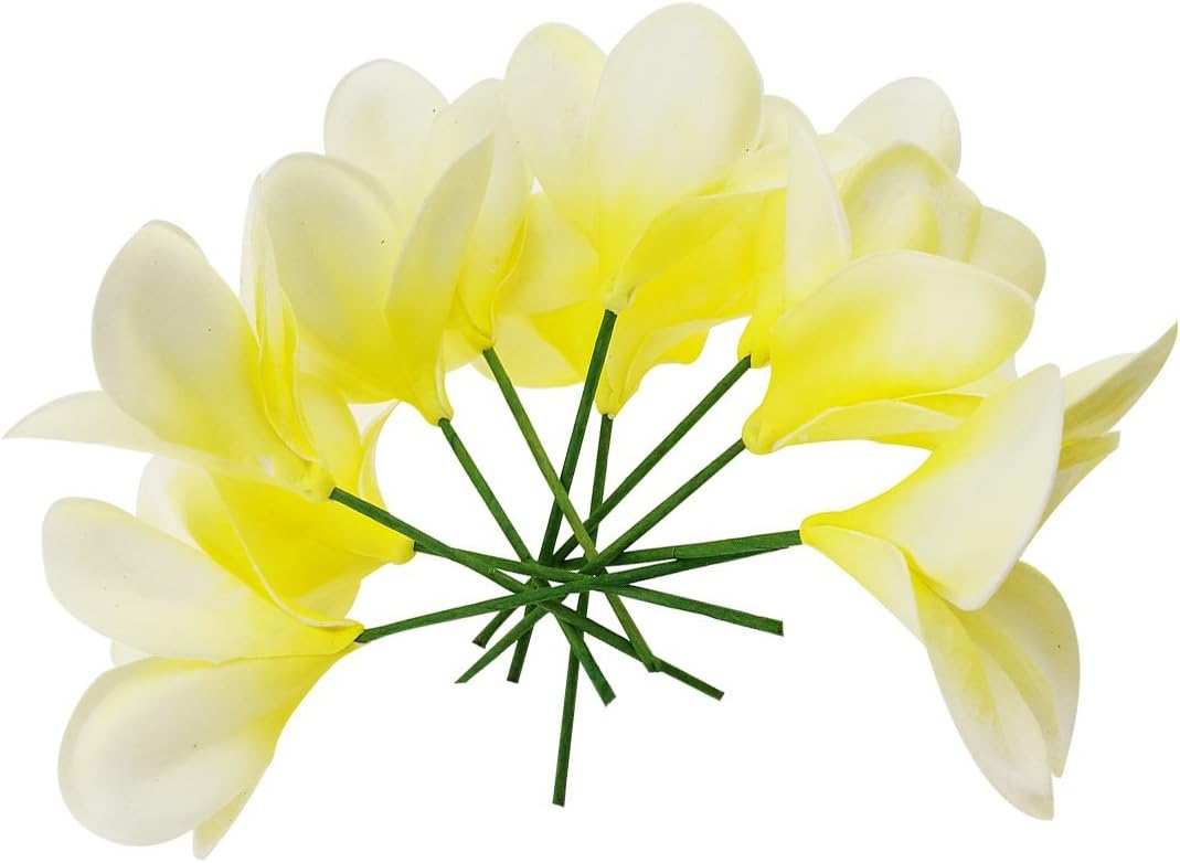 Bunch of 10 PU Real Touch Lifelike Artificial Plumeria Frangipani Flower Bouquets Fake Wedding Cake Home Party Decoration (White)