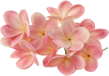 Bunch of 10 PU Real Touch Lifelike Artificial Plumeria Frangipani Flower Bouquets Fake Wedding Cake Home Party Decoration (White)